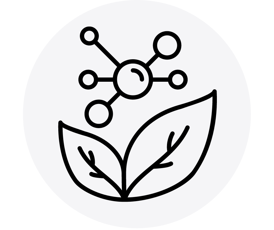 Alt Image